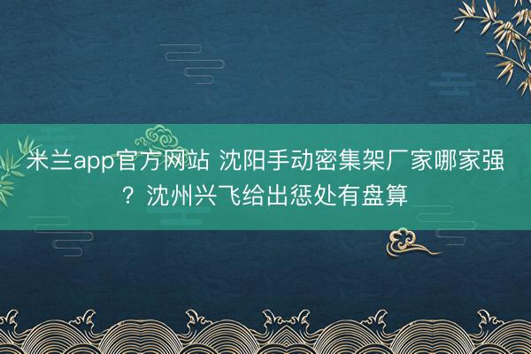 米兰app官方网站 沈阳手动密集架厂家哪家强?沈州兴飞给出惩处有盘算